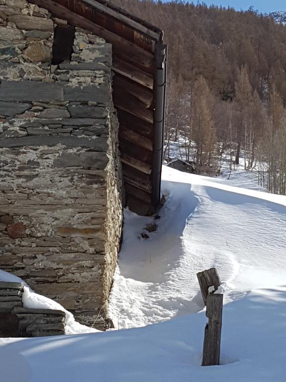 Monte Rosa Apartment