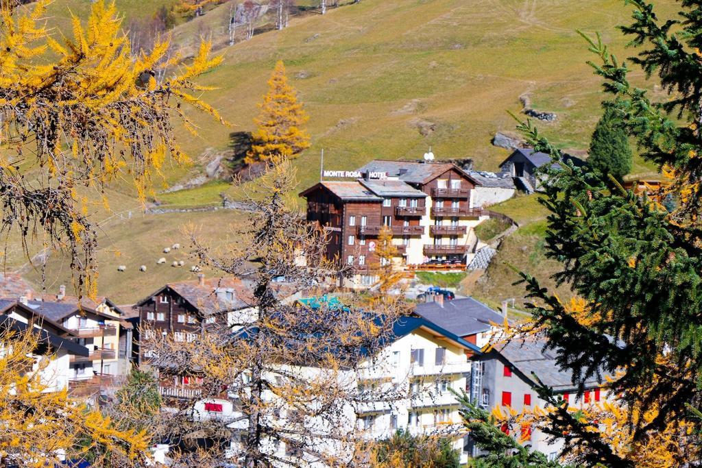 Apartment Monte Rosa